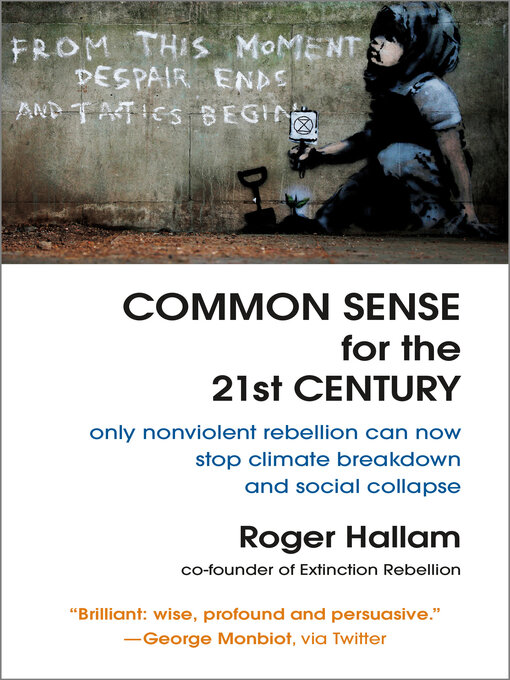 Cover image for Common Sense for the 21st Century